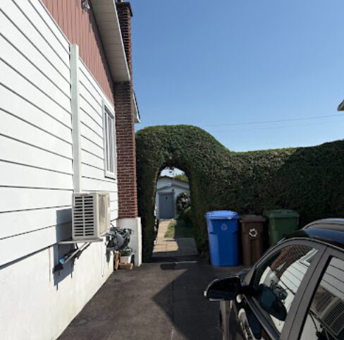 Haie taillée en arche