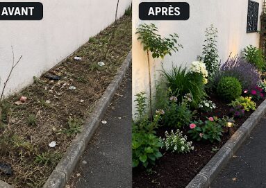 Plate-bande avant et après